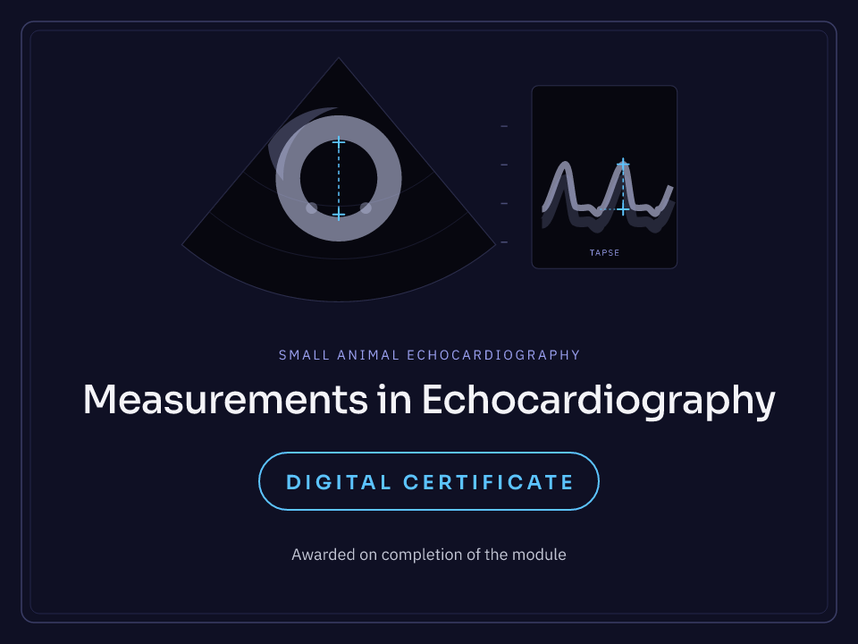 Measurements in Echocardiography: Digital Certificate