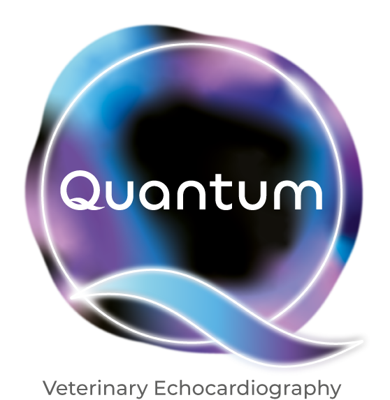 Quantum is coming